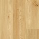 Tradition Quattro 178 Amber Oak