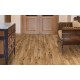 Quattro Eight 636 Oak Barrique