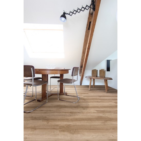 Twelve 957 Bandit Oak