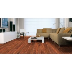 Marco Polo 4V – 485 Heritage Oak