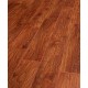 Marco Polo 4V – 485 Heritage Oak