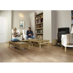 Magnitude 545 Old Flemish Oak
