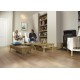 Magnitude 545 Old Flemish Oak