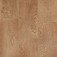 Magnitude 545 Old Flemish Oak