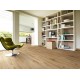 Impressio 915 Blazed Oak