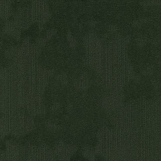 Velvet&