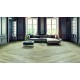Moduleo Impress(Dryback)