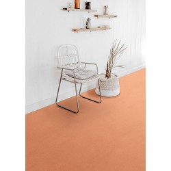 Centaurus 70 – Sedna