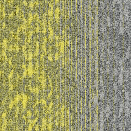 Motion