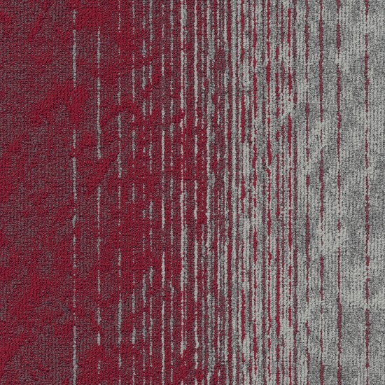 Motion