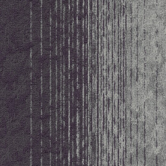 Motion