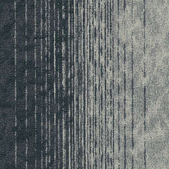 Motion