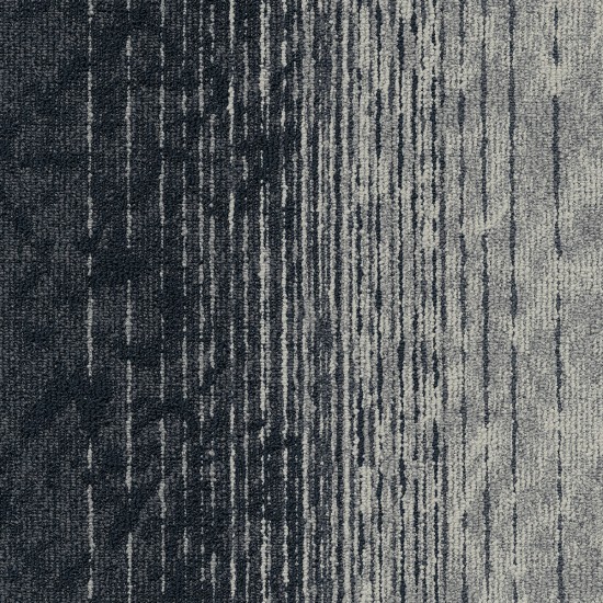 Motion