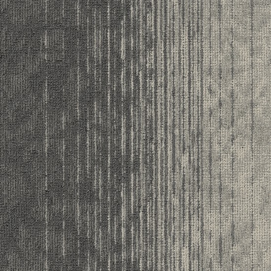 Motion