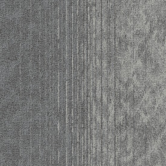 Motion