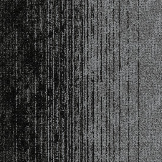 Motion