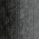 Motion