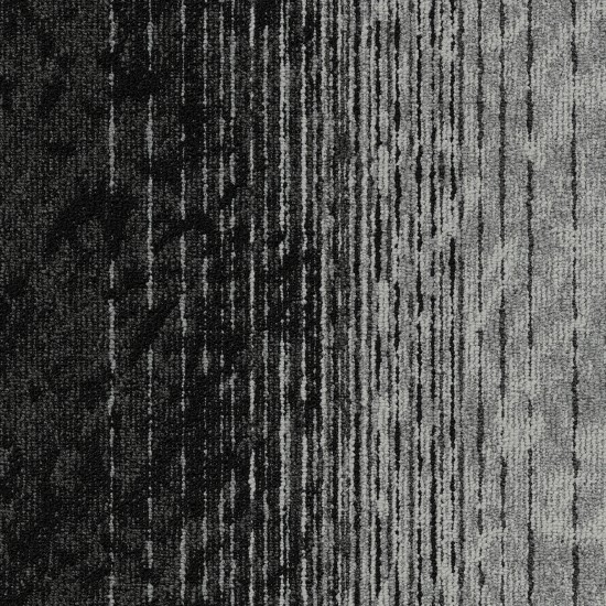 Motion