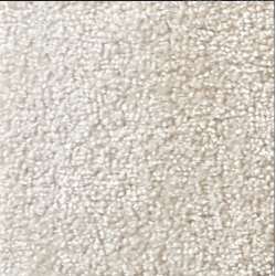 Marquis