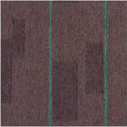 Falcon 2000 Serisi