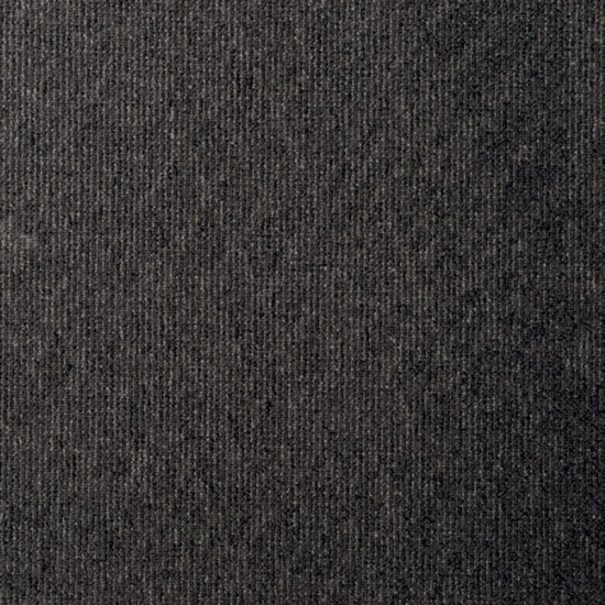 Contesse Columbus 