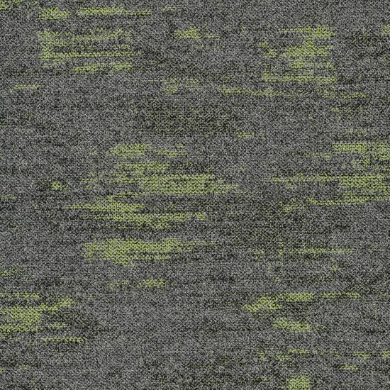 Newton