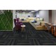 Contesse Pasteur